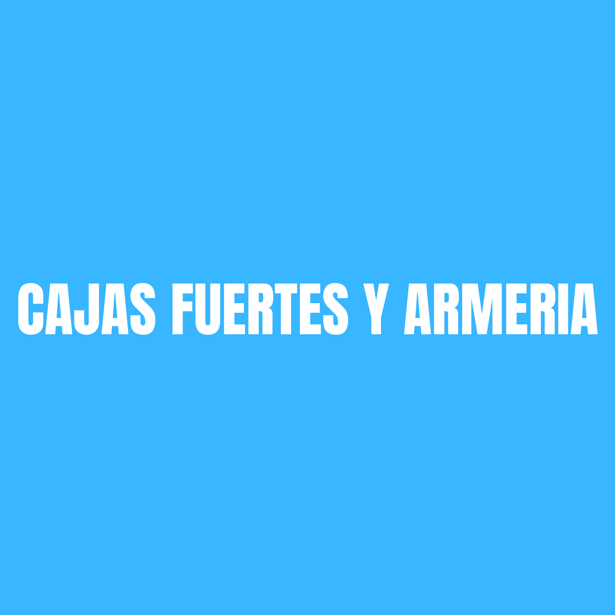 CAJAS FUERTES Y ARMERIA