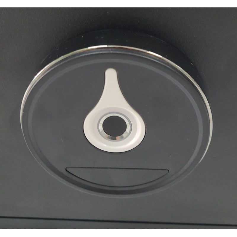 Caja fuerte de seguridad con lector de huella dactilar MARCA SAFEWELL